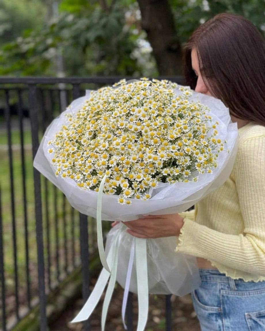 Моно-букет из ромашек